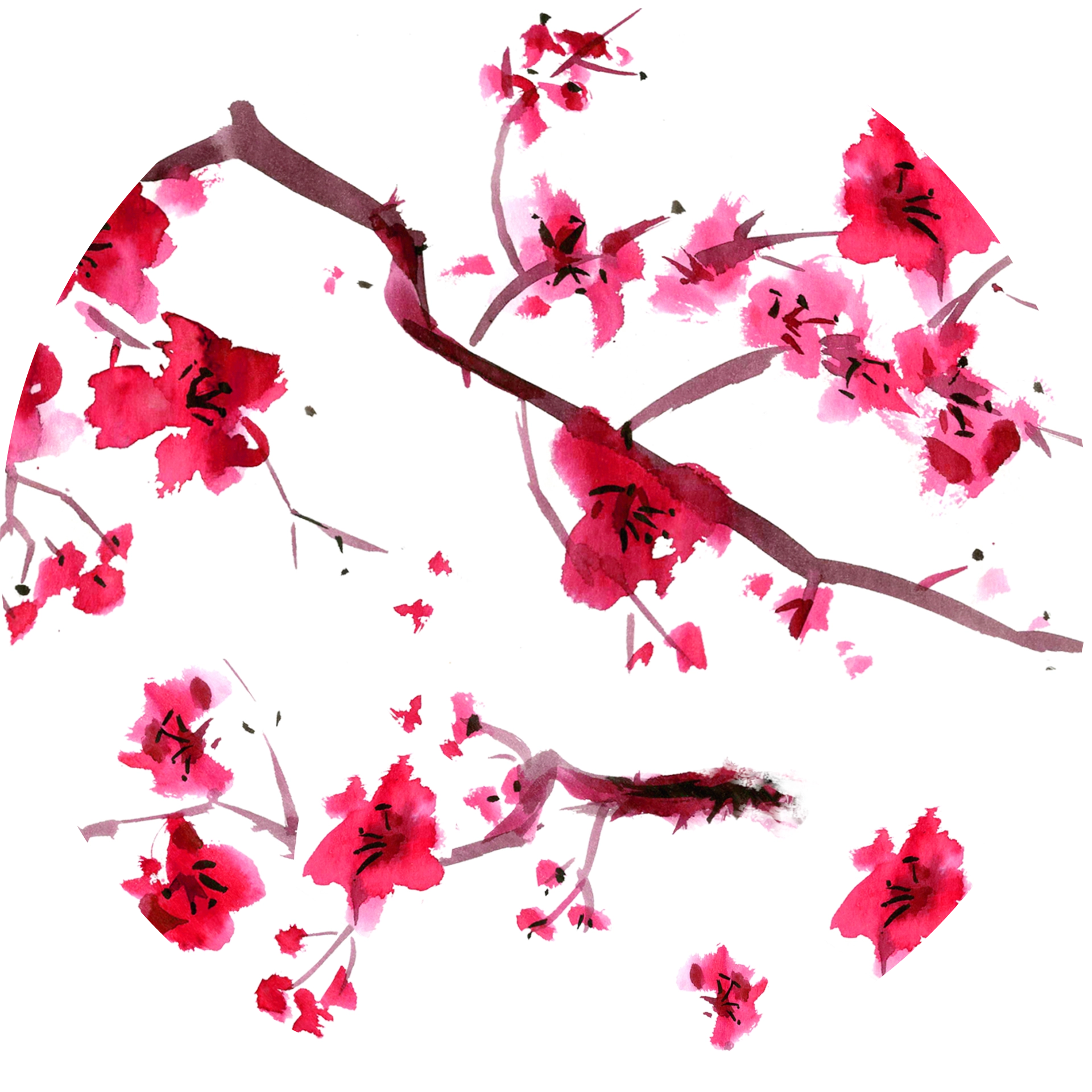 Eve Cherry Blossom